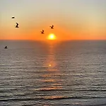 Surf Vista - Da Areia Branca * Lourinha (Lisbon)